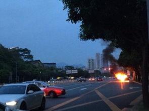 深圳少年宫爆料事件视频,真相与反思